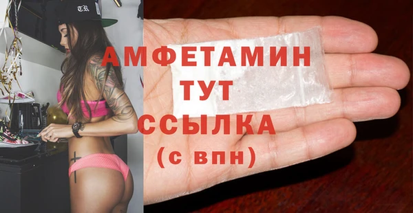 твердый Корсаков