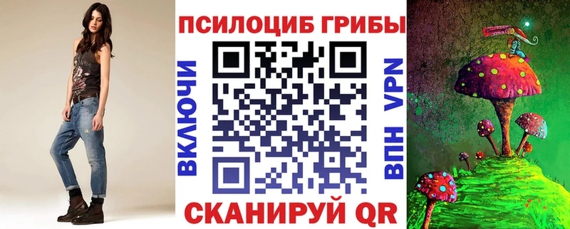Псилоцибиновые грибы Psilocybe  Знаменск 